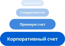 accounts-1